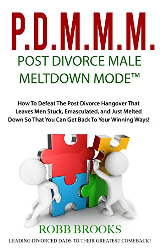 Post Divorce Male Meltdown Mode - Book can be purchased on Amazon